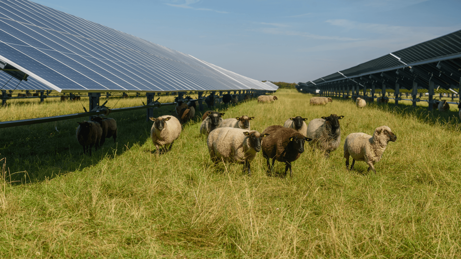 An oversized solar array and battery storage cut grid dependency by around 80%
